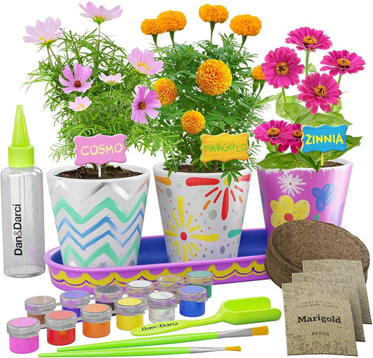 Dan&Darci Paint & Plant Stoneware Flower Gardening Kit
