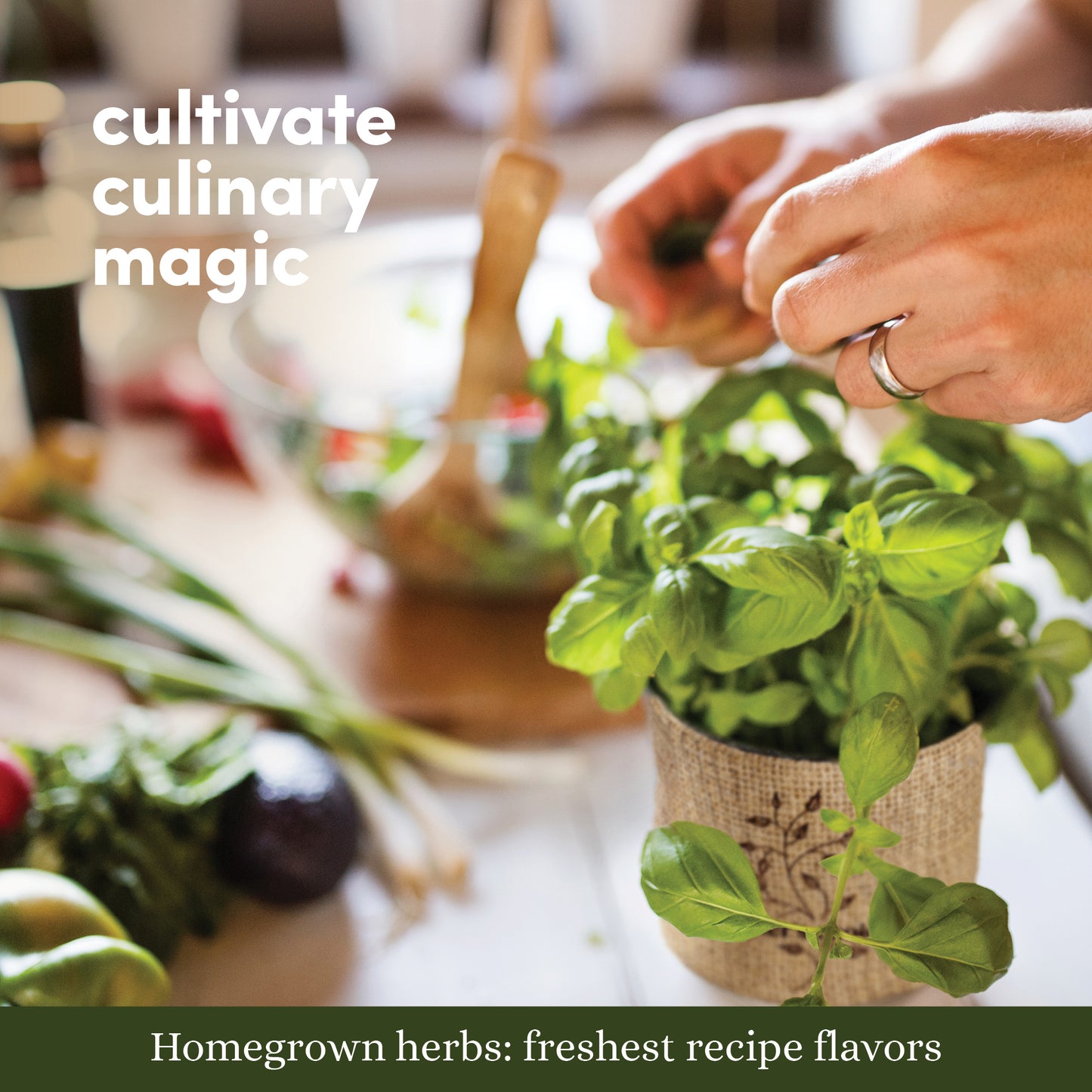 Planter's Choice 9 Herb Window Garden Planting Kit