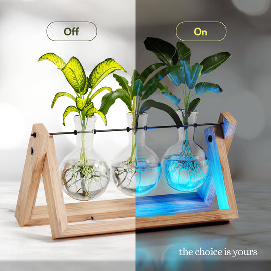 Planters' Choice Light Up Bamboo Air Planter