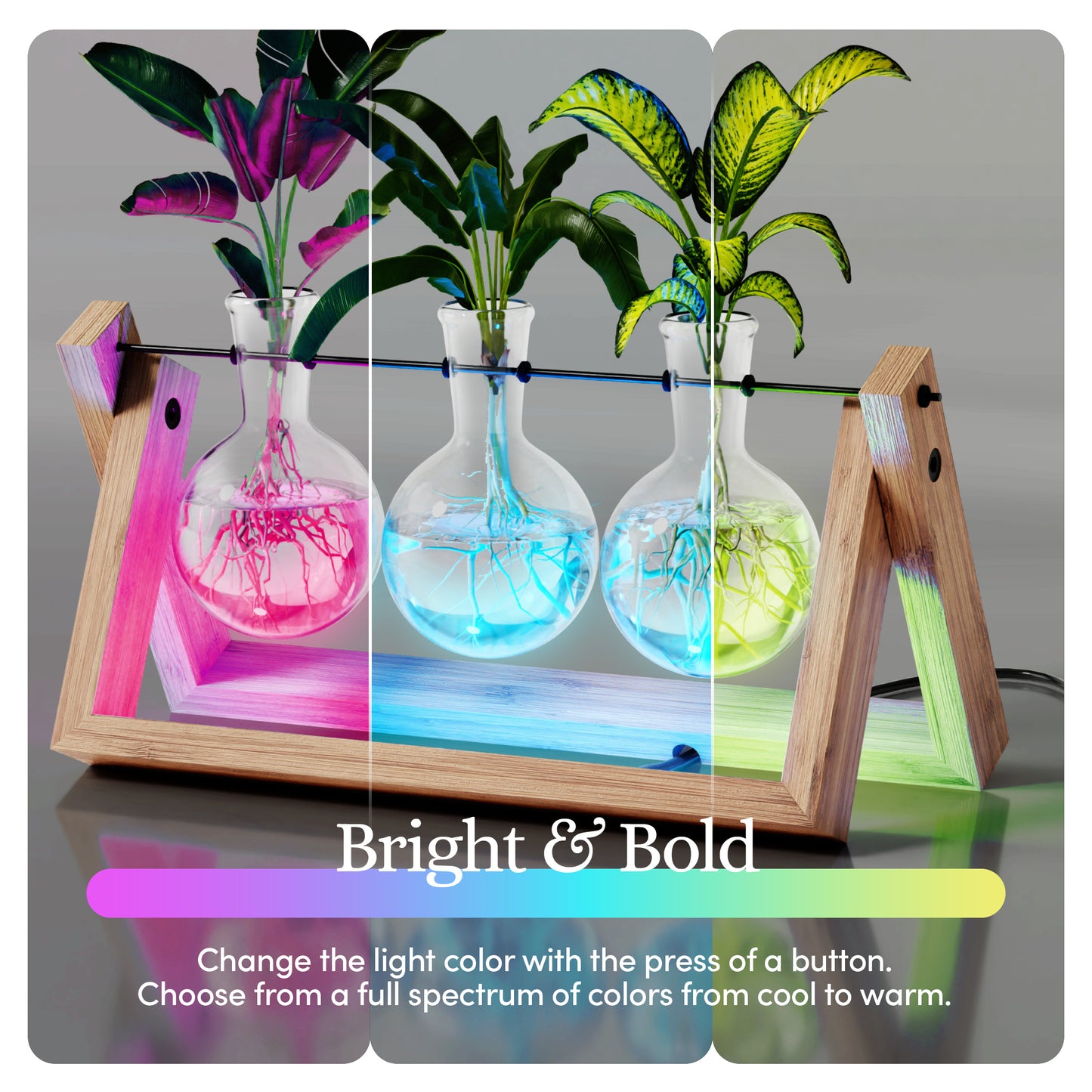 Planters' Choice Light Up Bamboo Air Planter