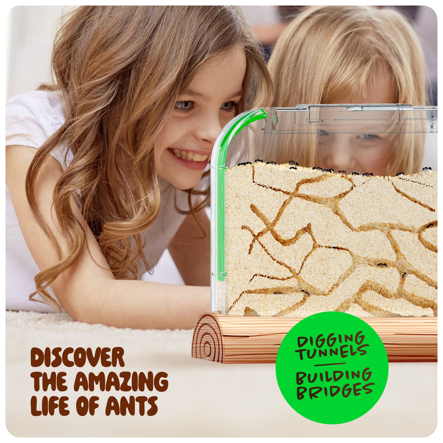 Dan&Darci Ant Farm Kit - Includes Ant Discount Coupon