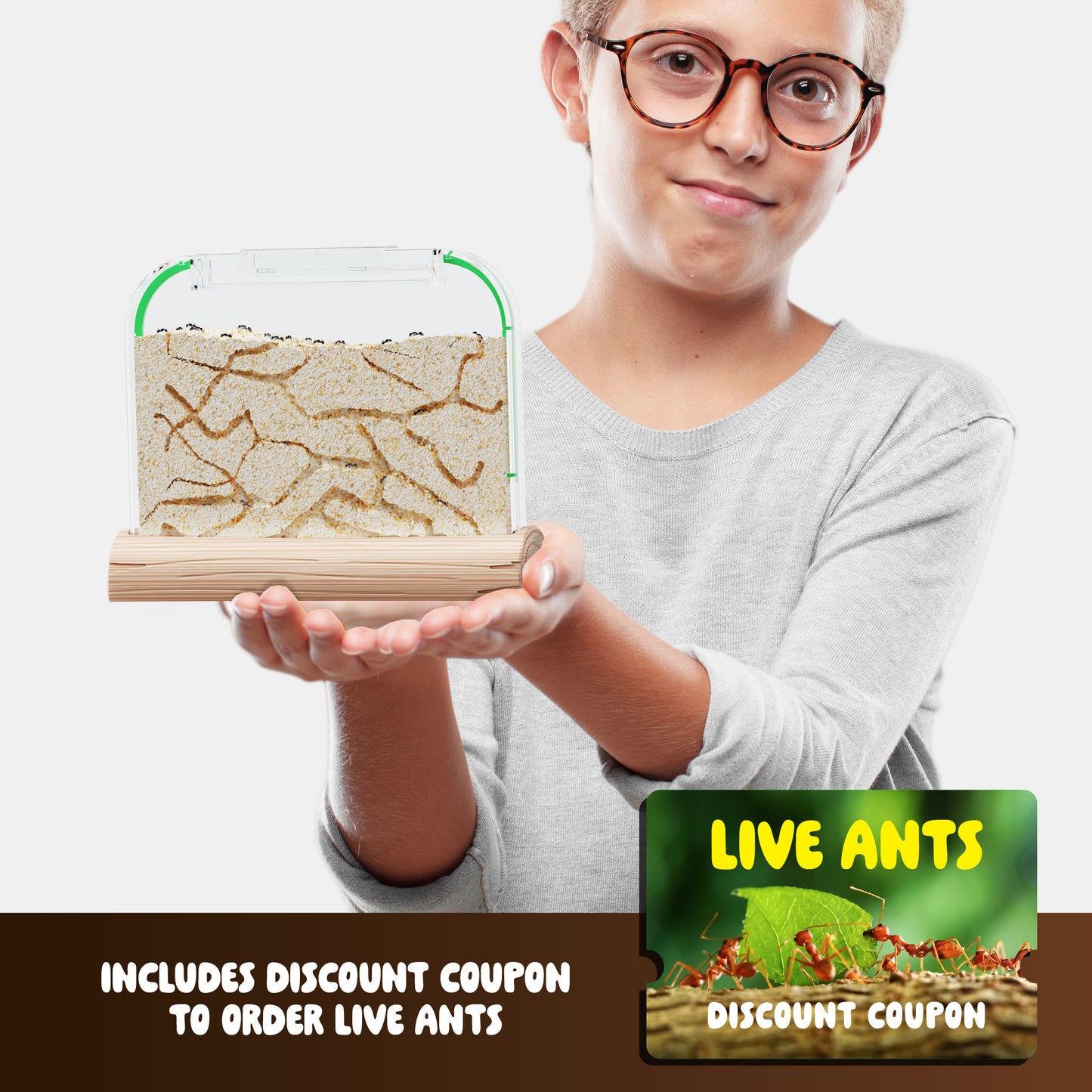 Dan&Darci Ant Farm Kit - Includes Ant Discount Coupon
