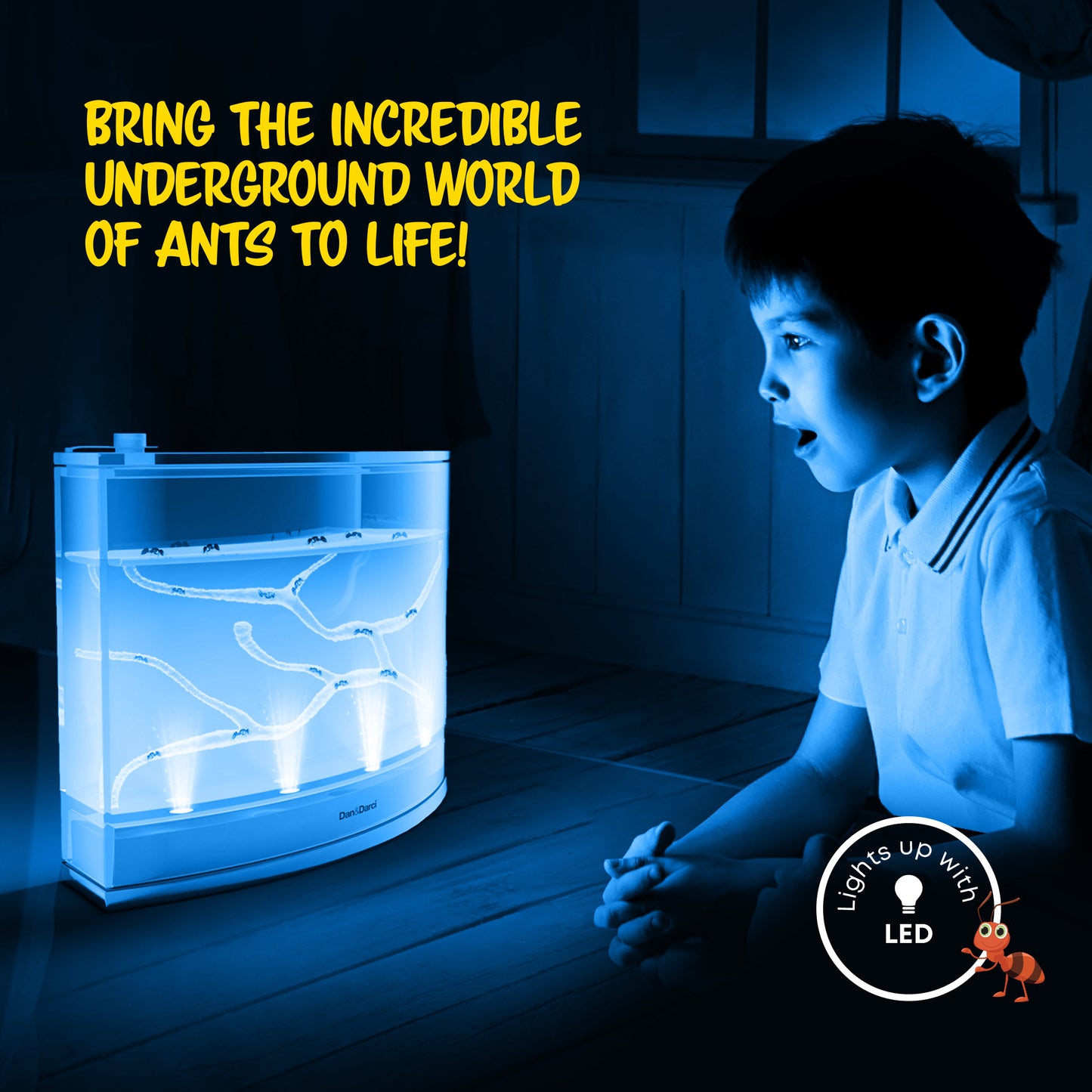 Dan&Darci Light-up Ant Terrarium - Includes Discount Ant Coupon
