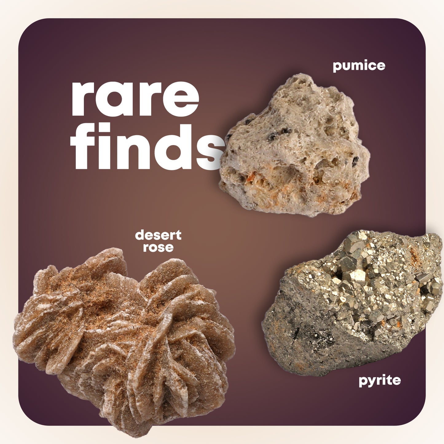 Dan&Darci Mega Rock & Mineral Collection Activity Kit