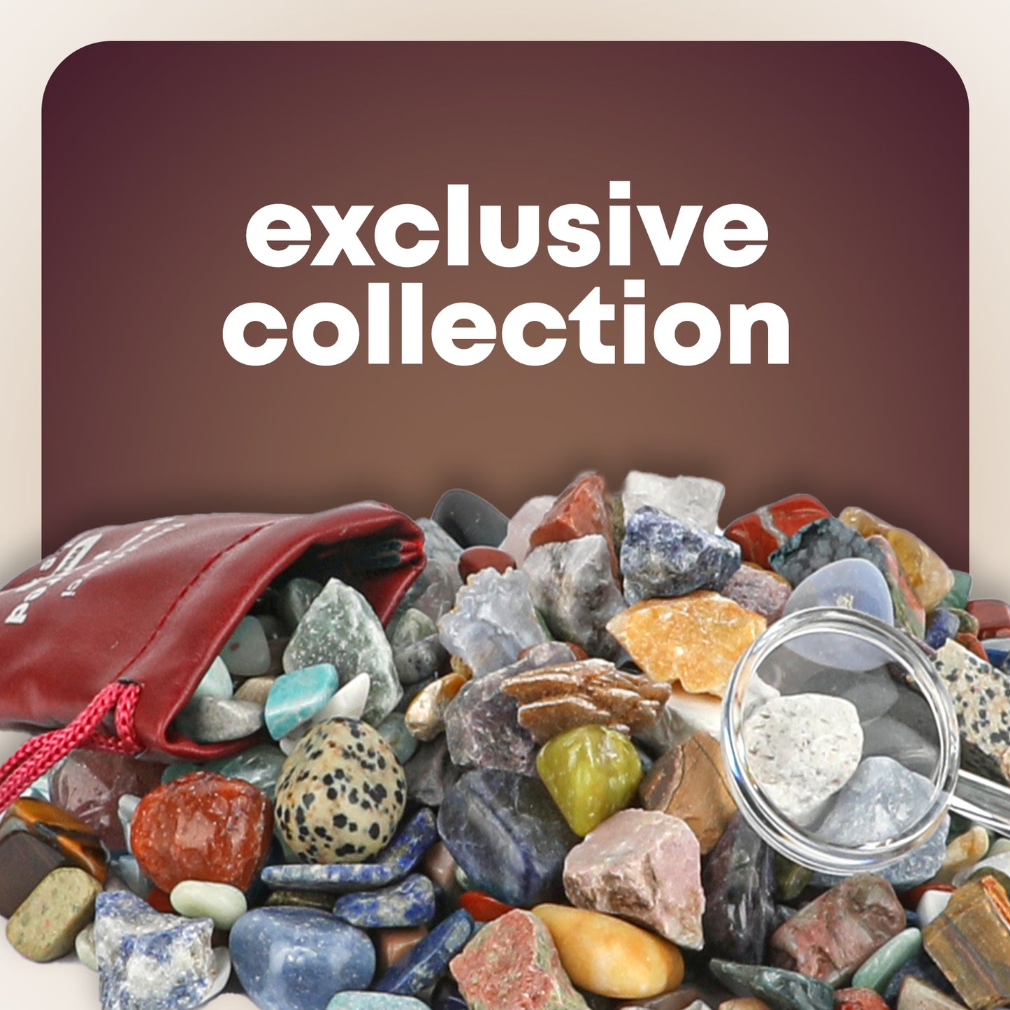 Dan&Darci Mega Rock & Mineral Collection Activity Kit