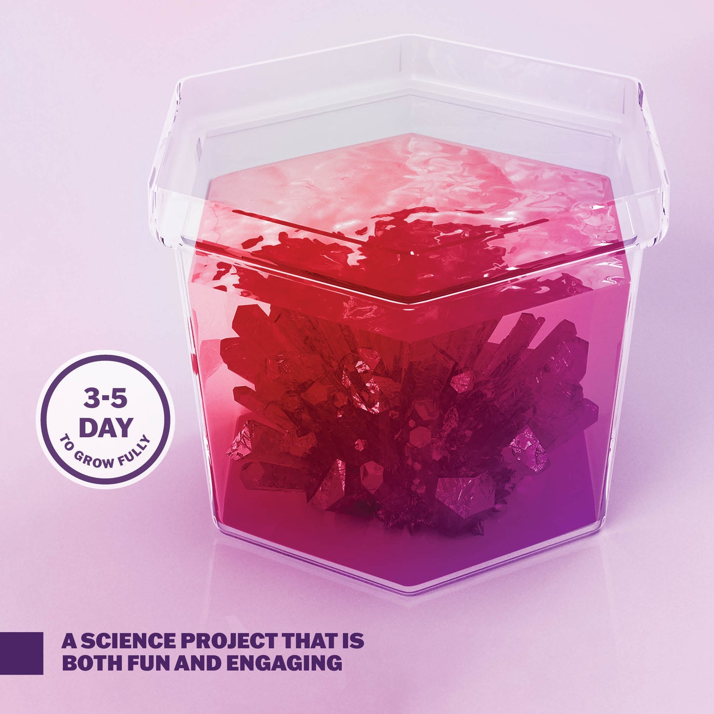 Dan&Darci Crystal Growing Science Experiment