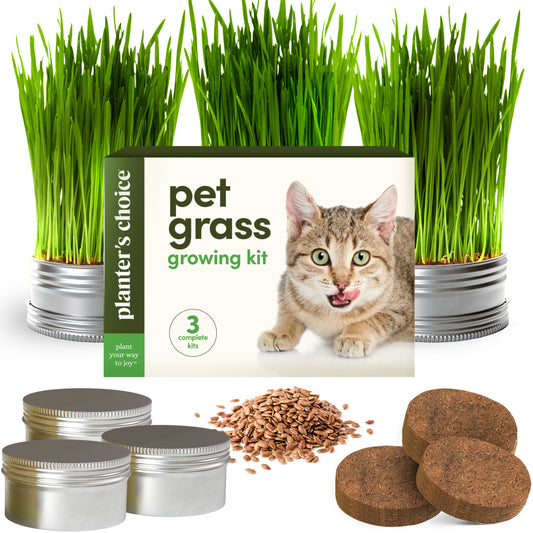 Planter's Choice Cat Grass Growing Kit - 3 Complete Kits