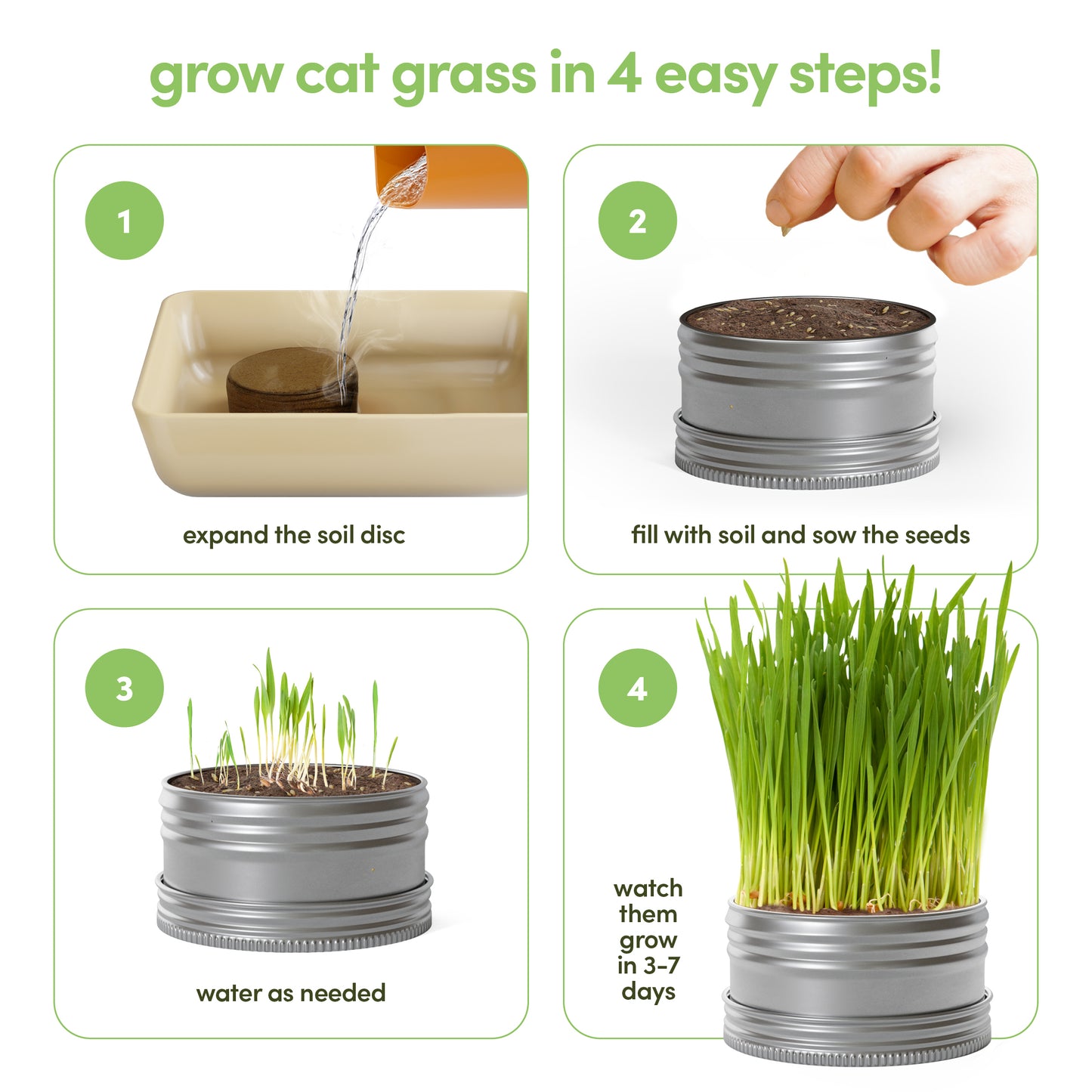 Planter's Choice Cat Grass Growing Kit - 3 Complete Kits