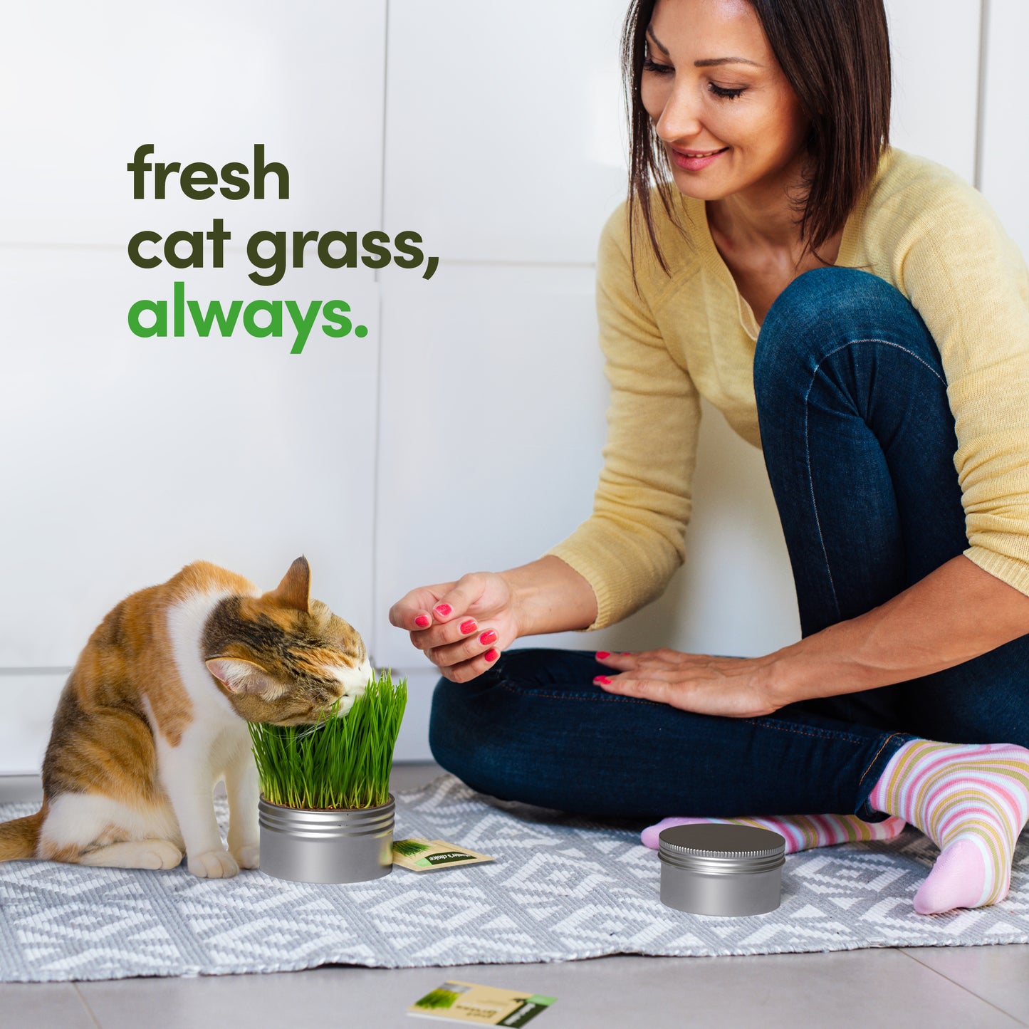 Planter's Choice Cat Grass Growing Kit - 3 Complete Kits