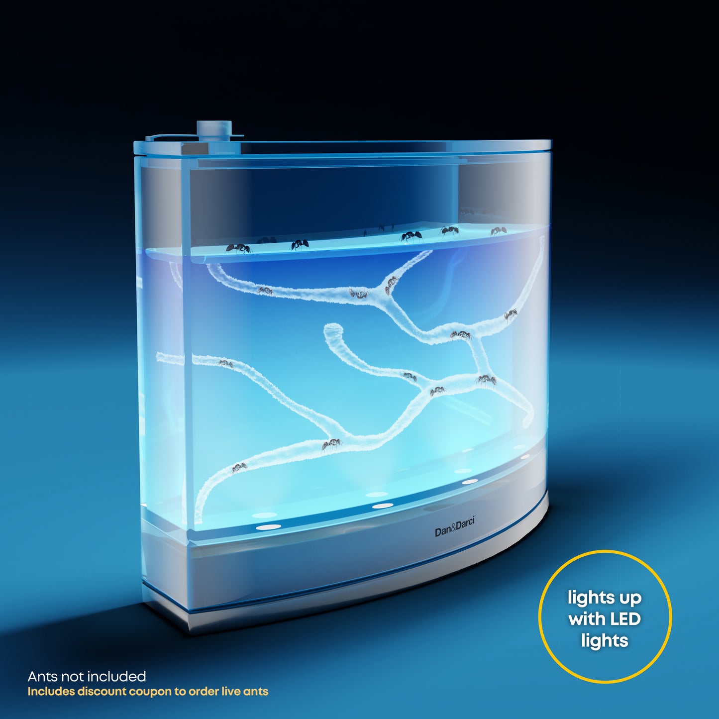 Dan&Darci Light-up Ant Terrarium - Includes Discount Ant Coupon