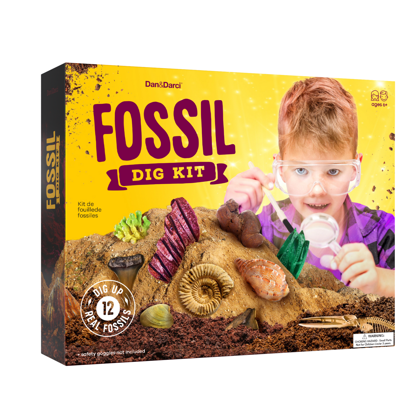 Dan&Darci Fossil Dig Kit - 12 Real Fossils
