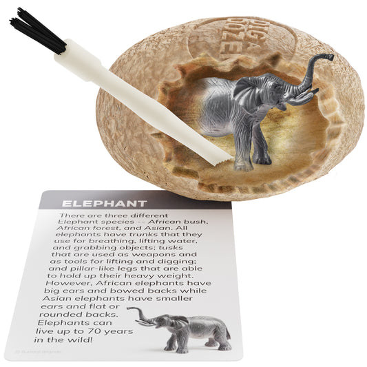 Dan&Darci Dig a Dozen Safari Animals Eggs Kit