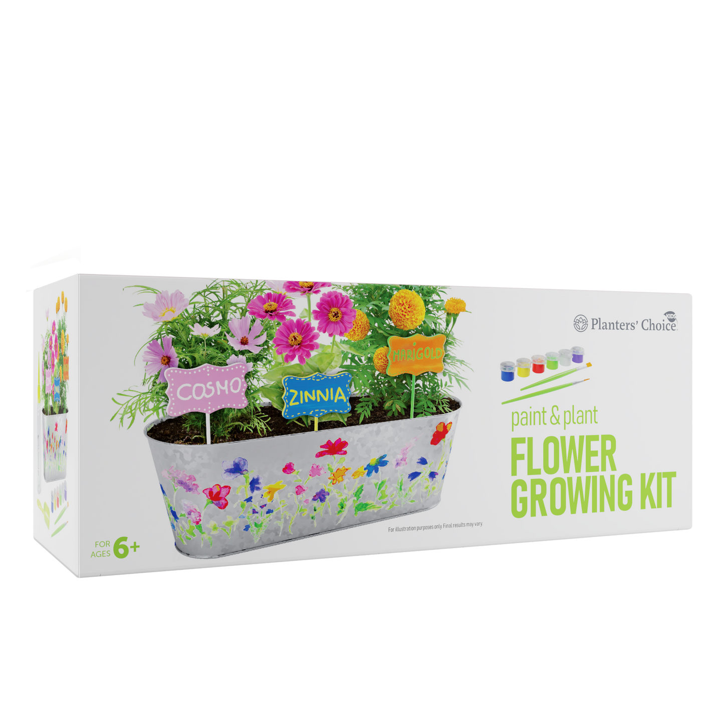 Dan&Darci Paint & Plant Flower Growing Kit for Kids