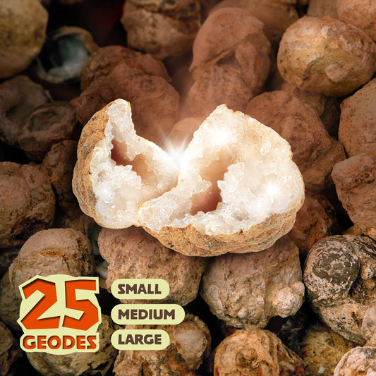 Dan&Darci Break & Discover Your Own Geodes - 25 Geodes, 1"-2.5" White Moroccan Geodes