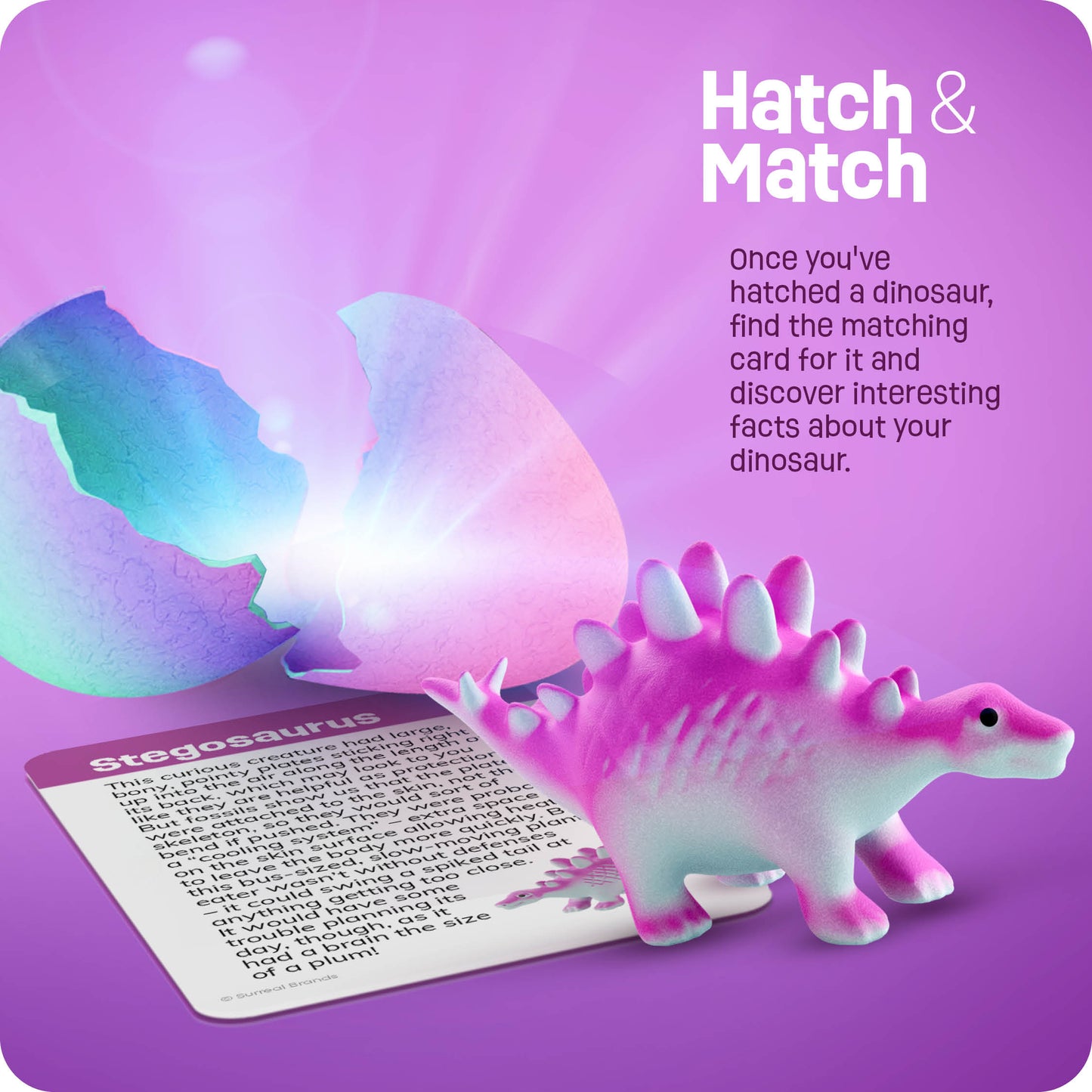 Dan&Darci Dinosaur Hatching Surprise Eggs - 6 Pack, Grows 600%