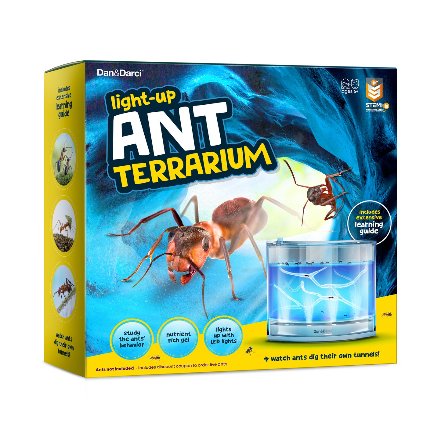 Dan&Darci Light-up Ant Terrarium - Includes Discount Ant Coupon