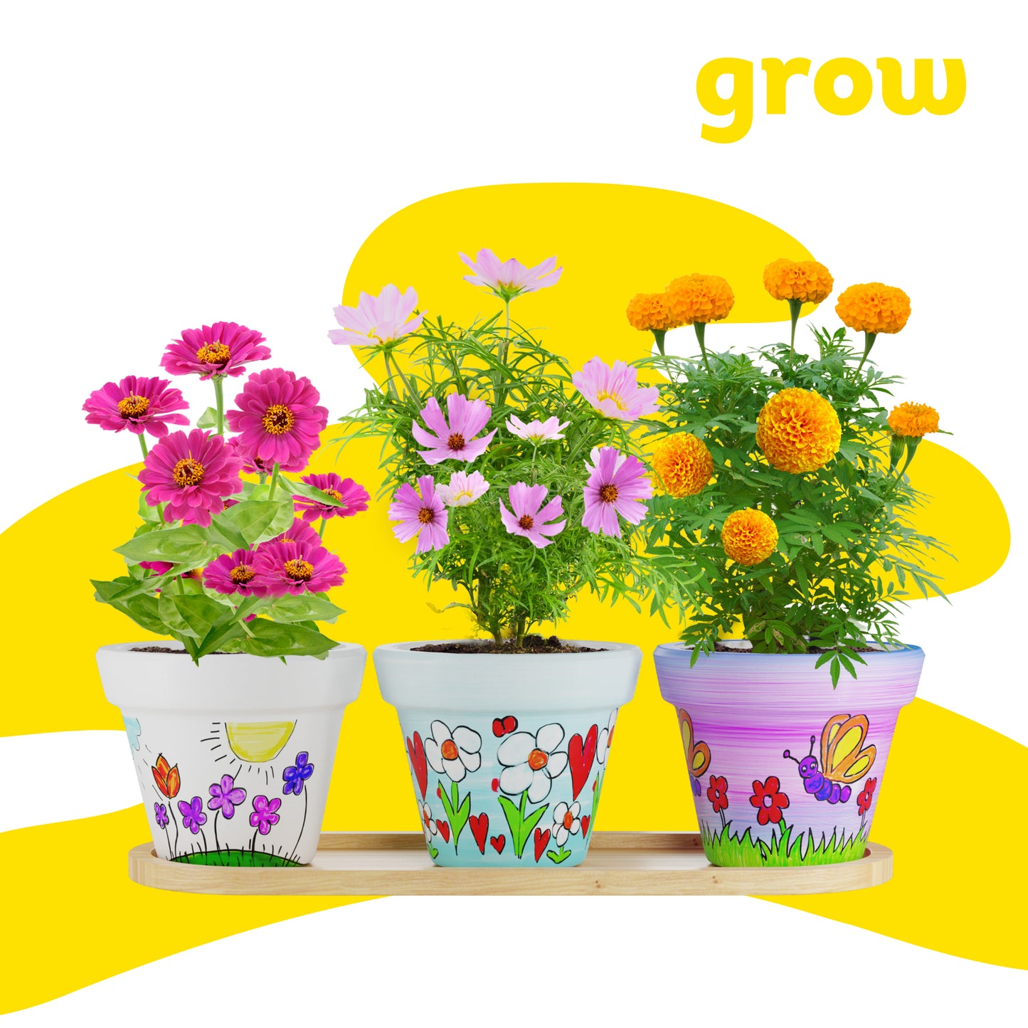 Dan&Darci Cast, Paint & Plant Kit for Kids