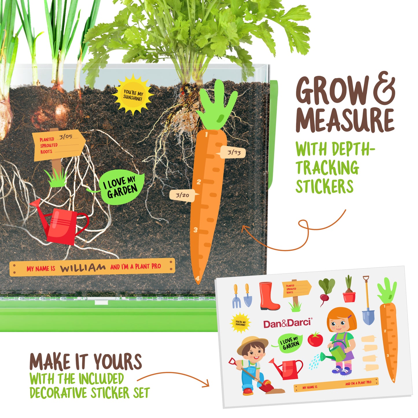 Dan&Darci Root Viewer Kit for Kids