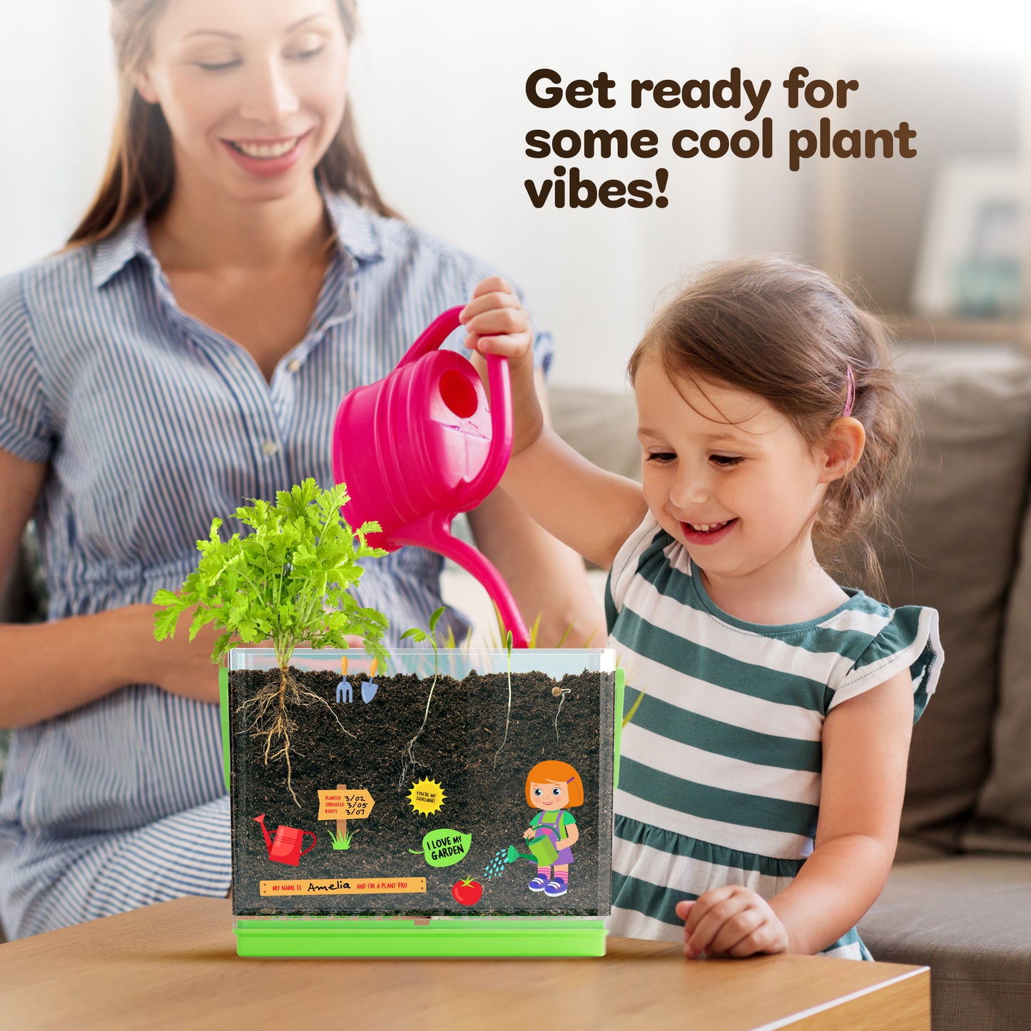 Dan&Darci Root Viewer Kit for Kids
