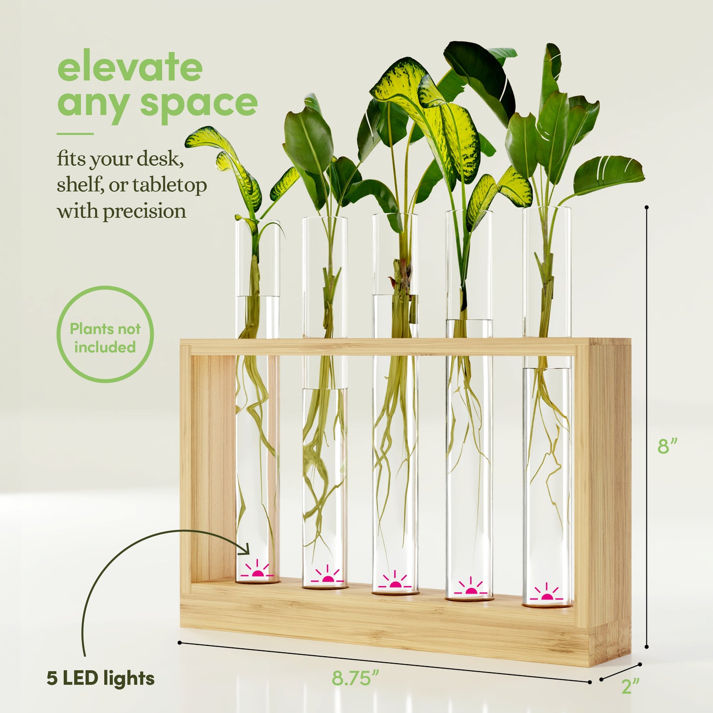 Planter's Choice Light Up Bamboo Vial Air Planter