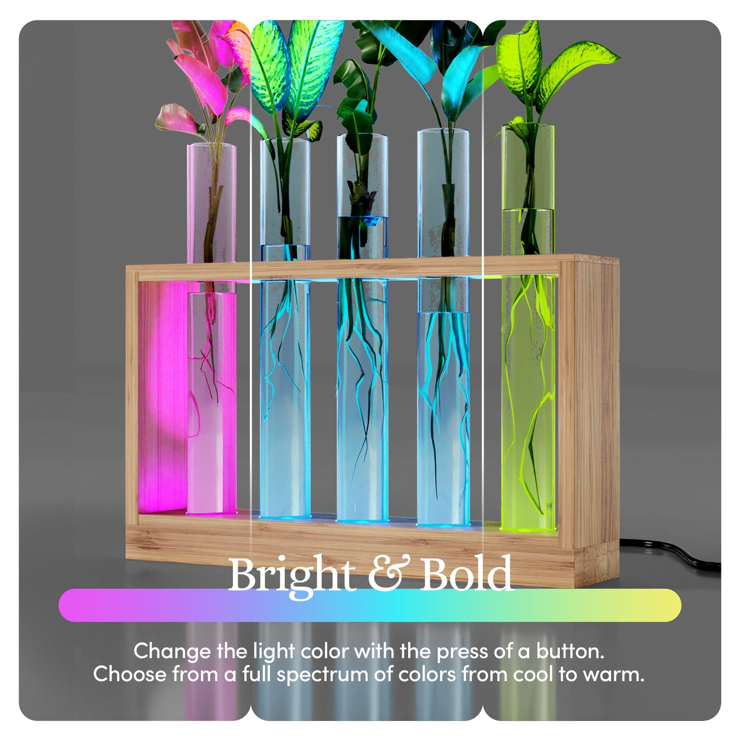 Planter's Choice Light Up Bamboo Vial Air Planter