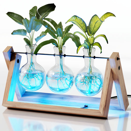Planters' Choice Light Up Bamboo Air Planter