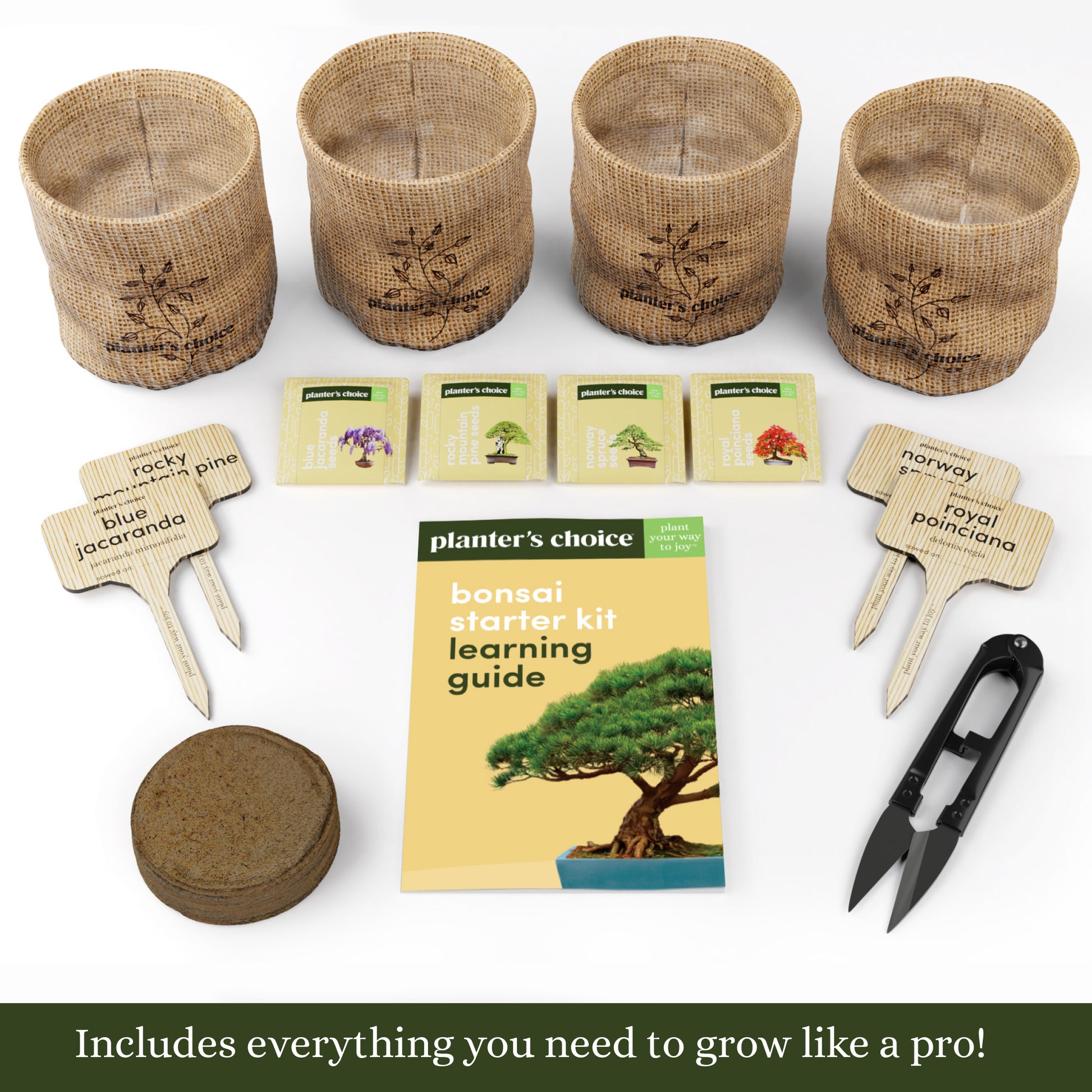 best grow your own bonsai tree kit Bonsai