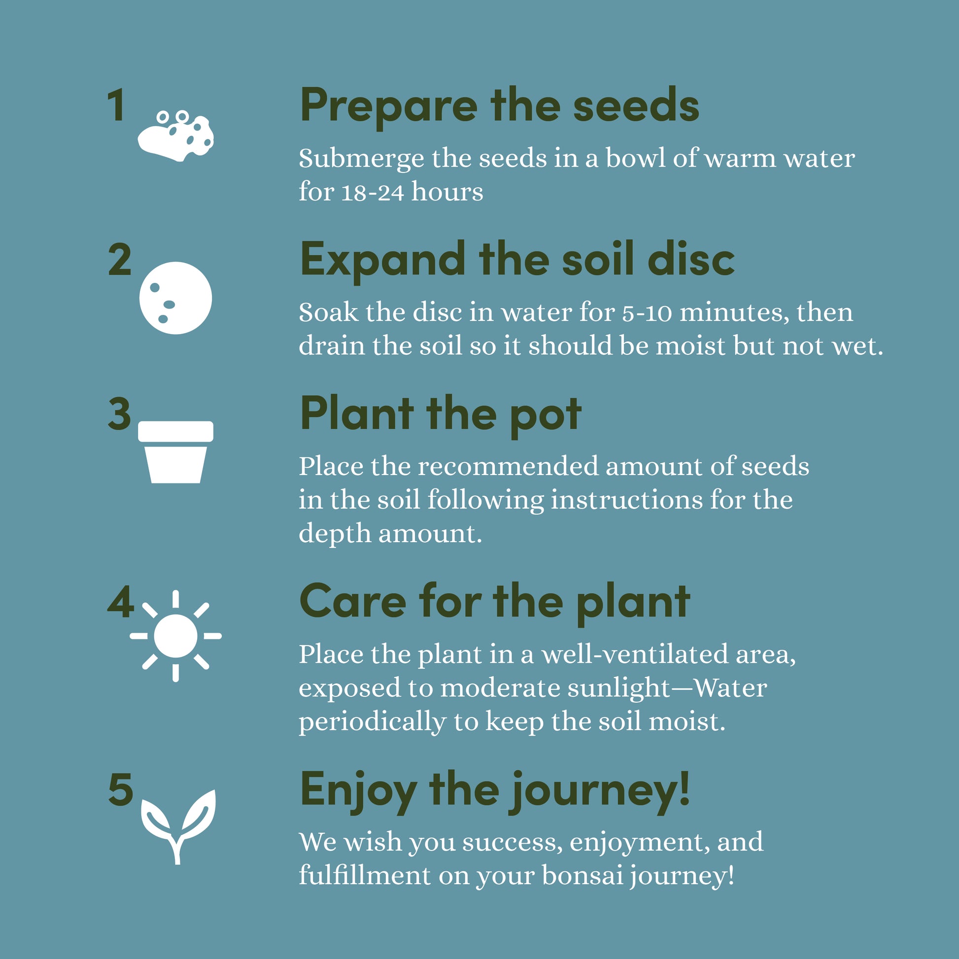 grow it bonsai tree kit instructions Bonsai