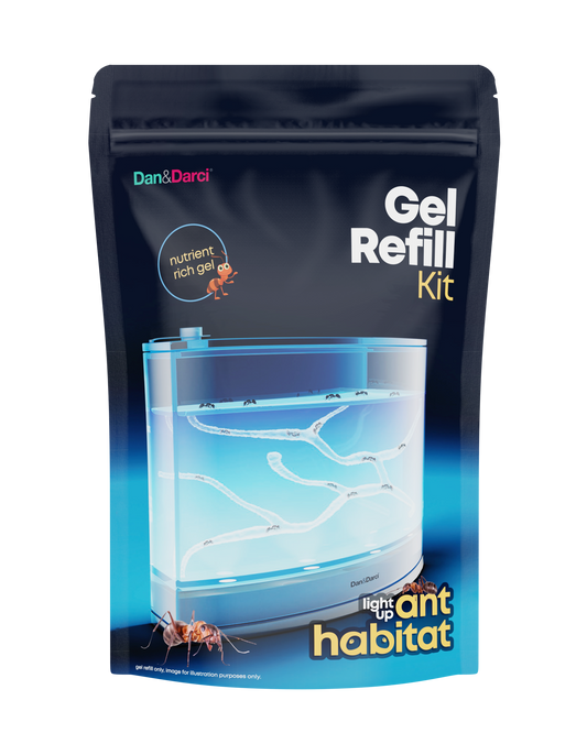 Dan&Darci Gel Refill for Ant Habitat