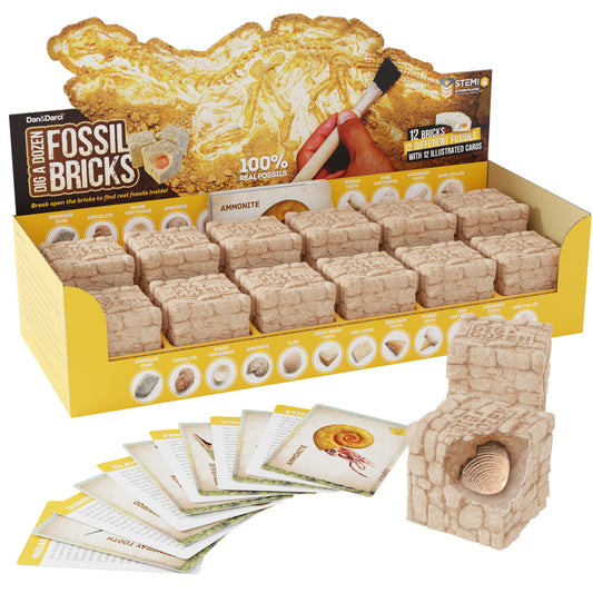 Dan&Darci Dig a Dozen Fossil Bricks
